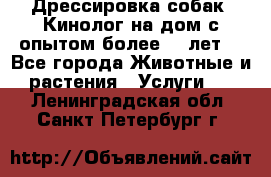 Дрессировка собак (Кинолог на дом с опытом более 10 лет) - Все города Животные и растения » Услуги   . Ленинградская обл.,Санкт-Петербург г.